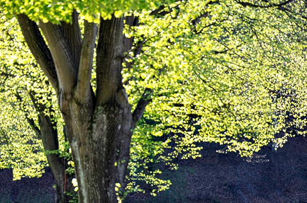 APRIL1804221035.jpg APRIL1804221035.jpg