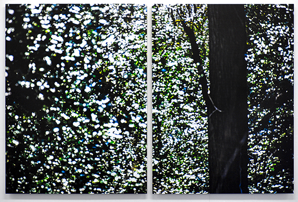 ILEX-2203221527_600PB.jpg