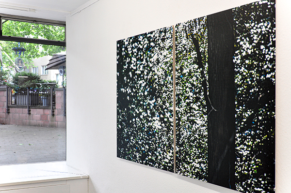 ILEX_120x180cm-2_600PB.jpg